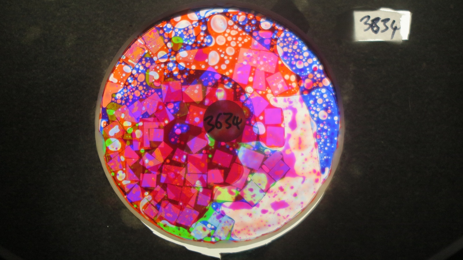 BV3634 bubble vision oil wheel